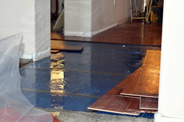 Professional Sewage Cleanup technician working in Mingus, TX